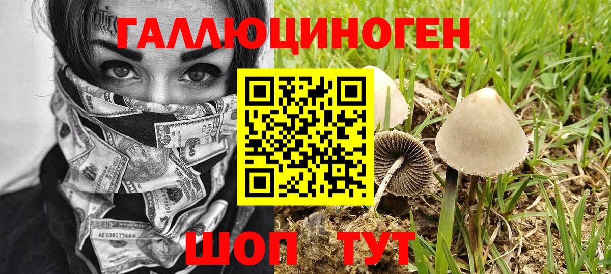Воркута  Псилоцибиновые грибы прущие грибы  Галлюциногенные грибы Magic Shrooms  цены   Вход с VPN 